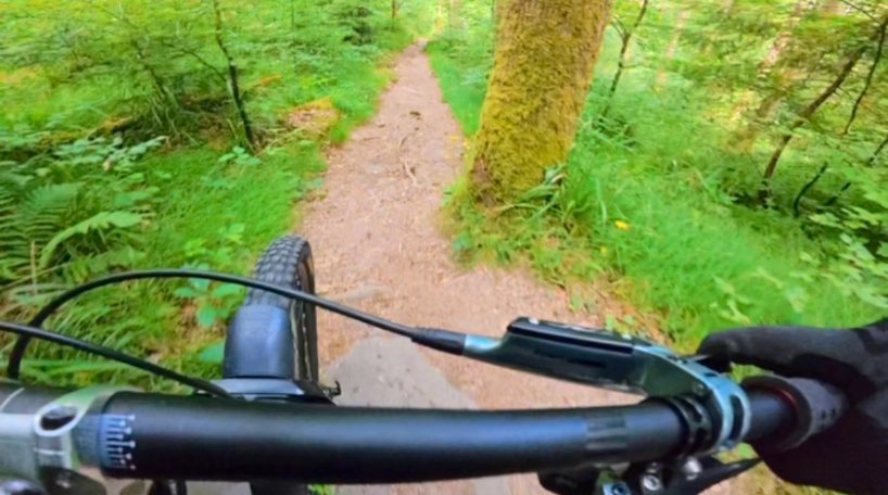 Vue depuis le guidon, sentier en forêt